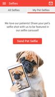 North Channel Animal Hospital syot layar 3