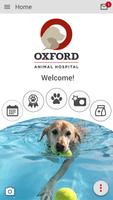 Oxford Animal Hospital Affiche