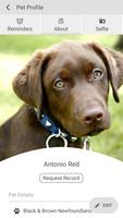 Richter Animal Hospital اسکرین شاٹ 3