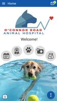 O'Connor Road Animal Hospital Cartaz