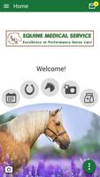 Equine Medical Services постер