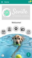 Seville Veterinary Hospital 海報