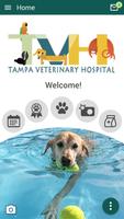 Tampa Veterinary Hospital پوسٹر