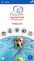 Spanish Trail AH poster