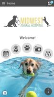 Midwest Animal Hospital Affiche