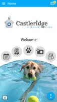 Castleridge Vet-poster