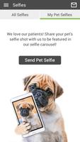 Oakhurst Veterinary Center 截图 3