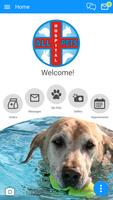 All Pets Hospital-poster