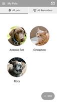 Arguello Pet Hospital screenshot 2