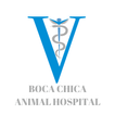 Boca Chica AH