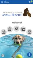 B-L Animal Hospital poster