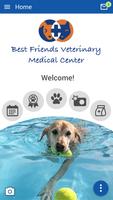 Best Friends Veterinary MC Ekran Görüntüsü 2
