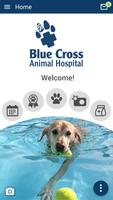 Blue Cross AH Toronto poster