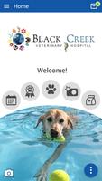 Poster BlackCreekVet