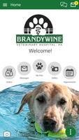 BrandywineVet โปสเตอร์