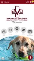 Brazoria Vet poster