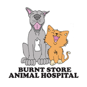 burnt store animal hospital