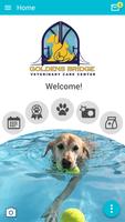 Goldens Bridge Veterinary poster