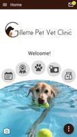 Gillette Pet Vet Clinic poster