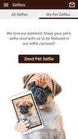Gillette Pet Vet Clinic screenshot 3