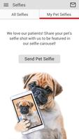 برنامه‌نما Dr. B's Pet Club عکس از صفحه