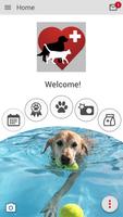 پوستر Dr. B's Pet Club