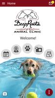 DeepRoots Vet plakat