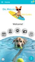 Dr. Mollys Vet Clinic poster