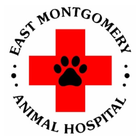 East Montgomery AH icône