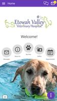 Poster Etowah Valley Vet