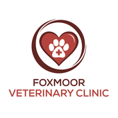 foxmoor animal hospital