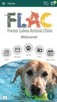 FLAC Vet Affiche
