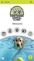 FiretowerVet 海报