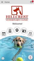Hillcrest VC poster