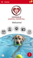 Hinsdale AH poster