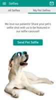 Integrative Vet Service screenshot 3