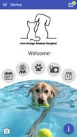 IronBridgeVet Poster