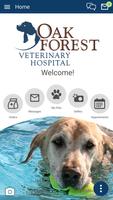 Oak Forest Vet Cartaz