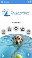 Oceanview Vet 海報