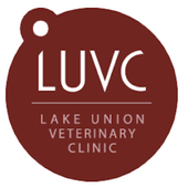 lake union veterinary clinic lake union veterinary clinic