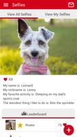 Liles Animal Clinic 스크린샷 1
