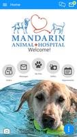 Mandarin Vet Plakat