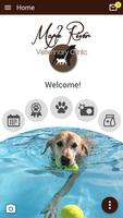 Maple River Vet poster