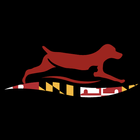 MMVC icon