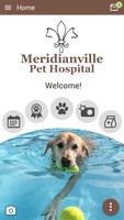 Meridianville Pet Hospital Affiche