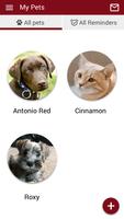 San Tan Vet স্ক্রিনশট 2