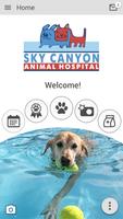 Sky Canyon AH পোস্টার