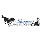 Skycrest AC أيقونة