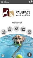Paleface Vet Clinic постер