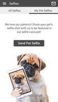 Paleface Vet Clinic скриншот 3